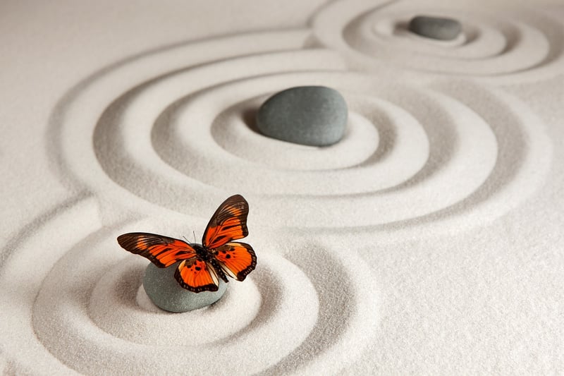 yoga meditation zen